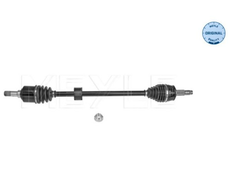 Drive shaft