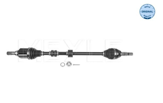 Drive shaft