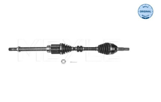 Drive shaft