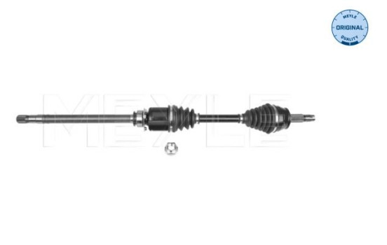 Drive shaft