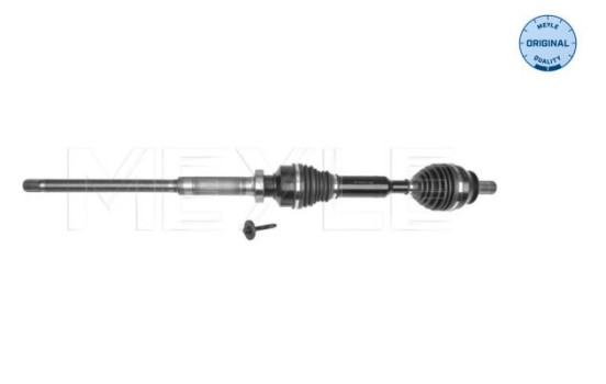 Drive shaft