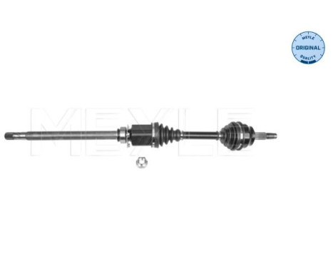 Drive shaft