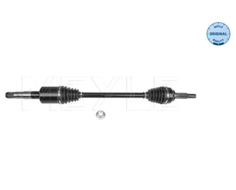 Drive shaft