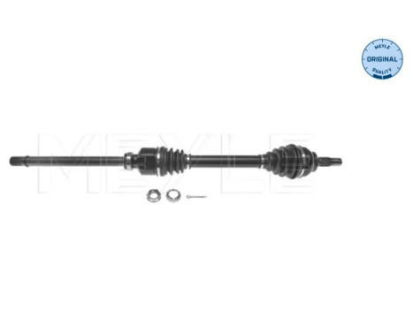 Drive shaft
