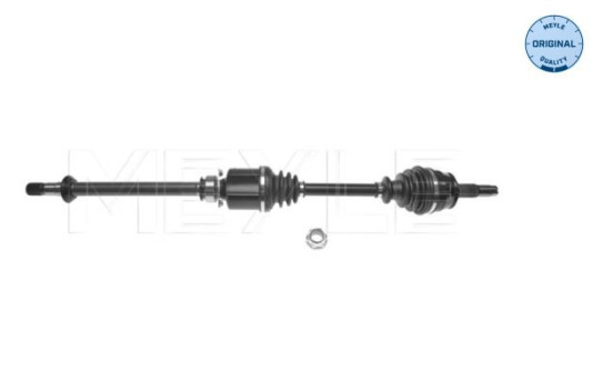 Drive shaft