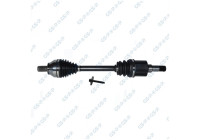 Drive Shaft