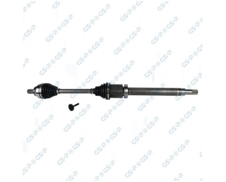 Drive Shaft