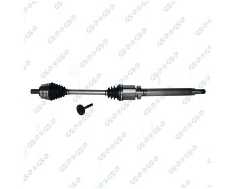 Drive Shaft