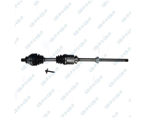 Drive Shaft