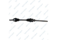 Drive Shaft