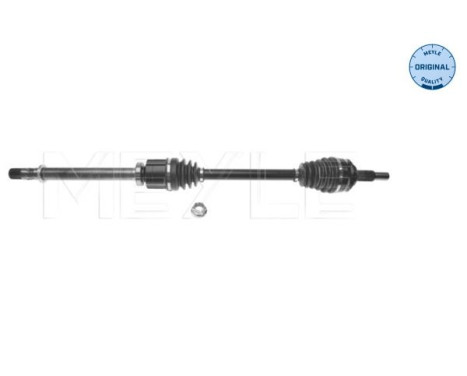 Drive shaft