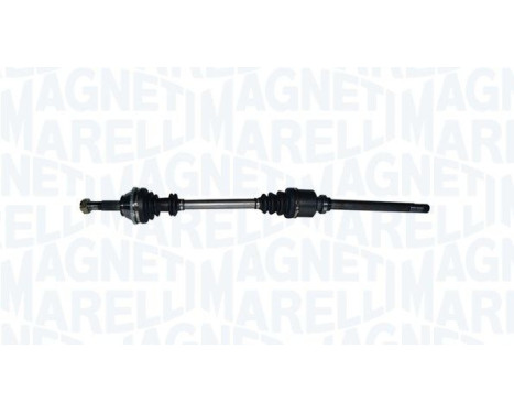 Drive shaft