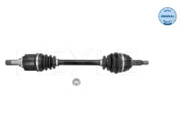 Drive shaft