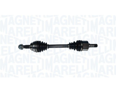 Drive shaft
