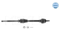 drive shaft