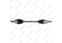 Drive Shaft