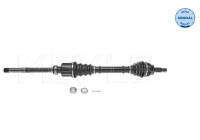 Drive shaft
