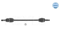 Drive shaft