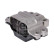 gearbox support