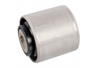 Mounting, differential