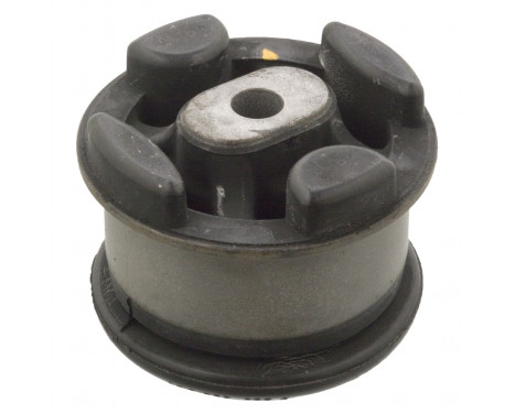 Mounting, transfer case