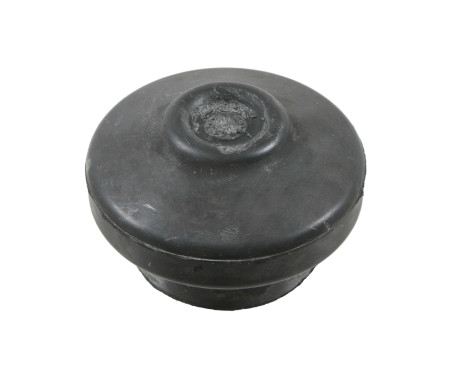 Rubber Buffer, engine mounting