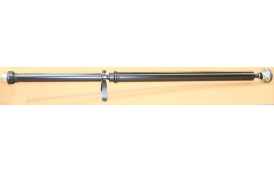Drive shaft, shaft drive