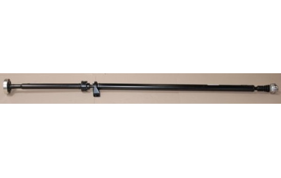 Drive shaft, shaft drive
