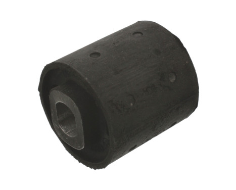 Mounting, differential