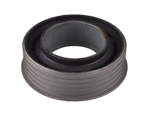 Mounting, propshaft