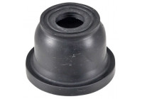 Sealing/Protective Cap