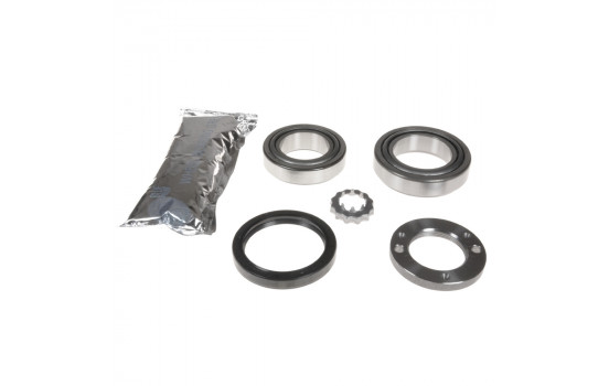 Wheel Bearing Kit ADZ98211 Blue Print