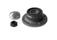 FAHREN WHEEL BEARING SET