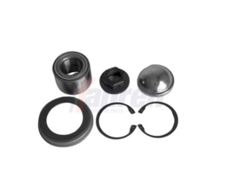 FAHREN WHEEL BEARING SET