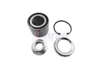 FAHREN WHEEL BEARING SET