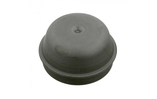 Protection Lid, wheel hub 05286 FEBI