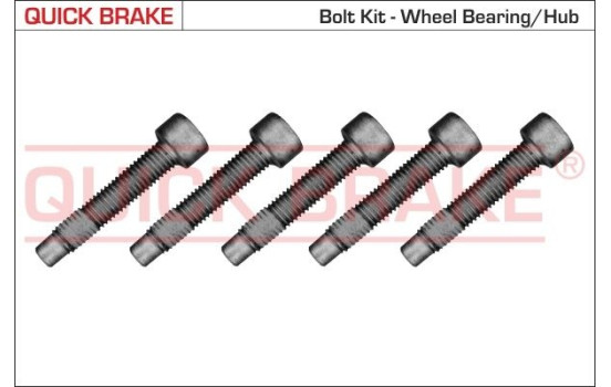 Repair kit, wheel hub