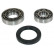 Wheel bearing 200063 ABS