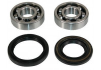 Wheel bearing 200164 ABS