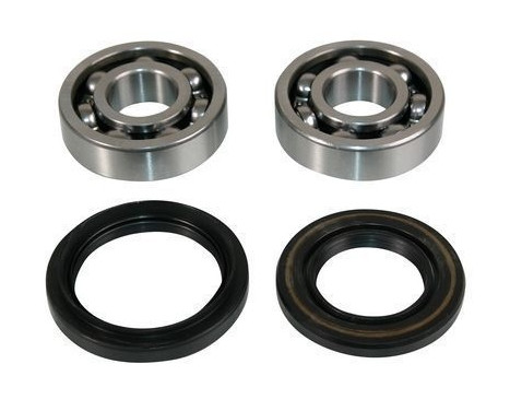 Wheel bearing 200164 ABS