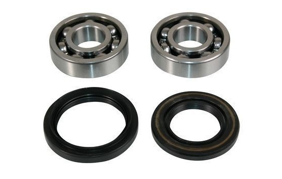 Wheel bearing 200164 ABS