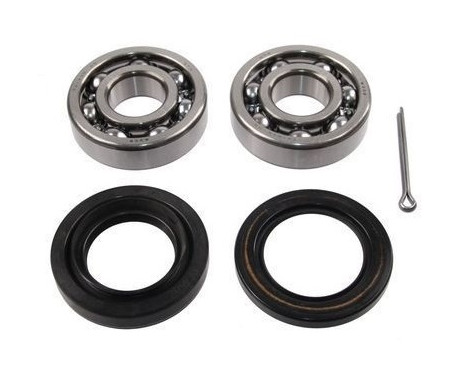 Wheel bearing 200169 ABS