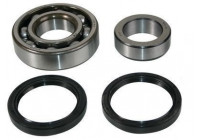 Wheel bearing 200249 ABS