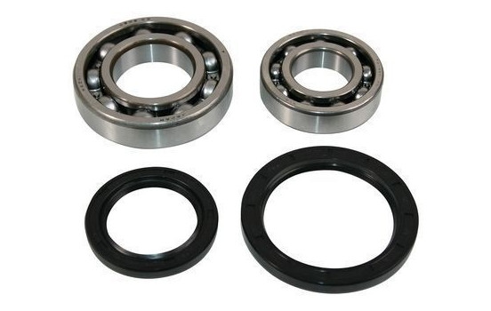 Wheel bearing 200523 ABS