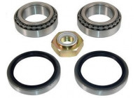 Wheel bearing 200669 ABS