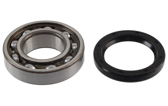 Wheel bearing 201321 ABS