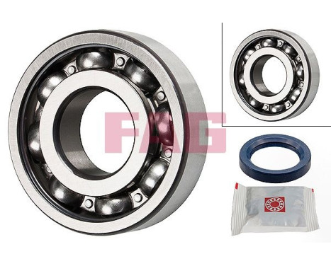 Wheel bearing 713 6630 60 FAG
