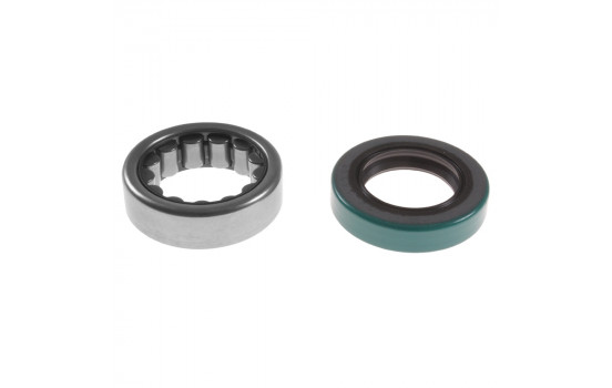 Wheel bearing ADA108307 Blue Print