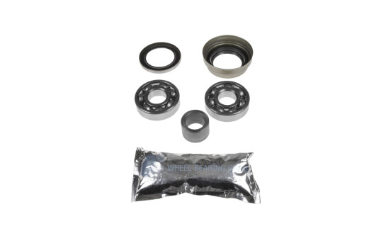 Wheel bearing ADD68225C Blue Print