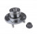 Wheel bearing ADG083111 Blue Print